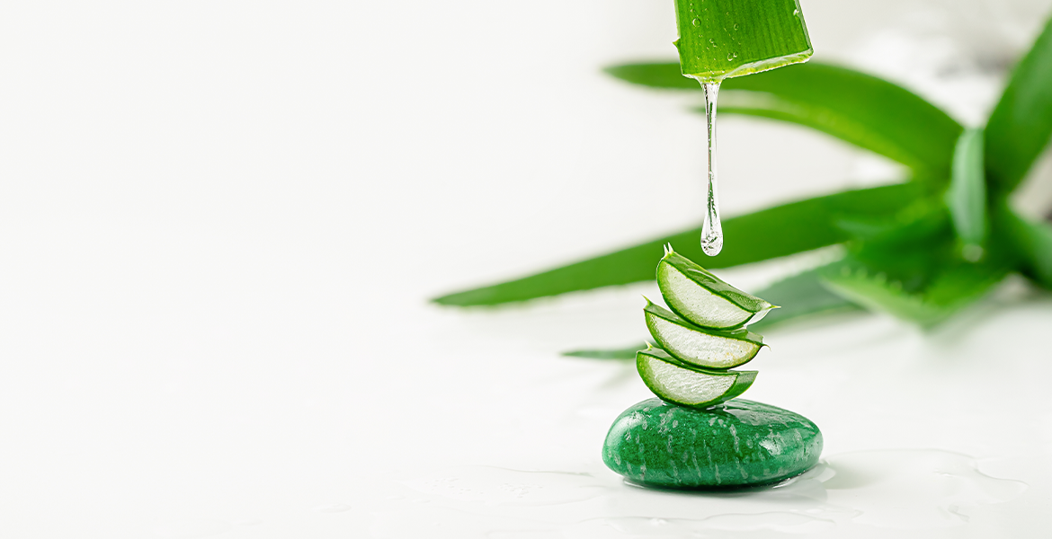 TAKE CARE OF YOUR SKIN WITH THE MIRACLE OF ALOEVERA EVEN WHILE YOU SLEEP