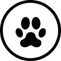 Helps reduce pets allergens: Dog and cat hair allergens