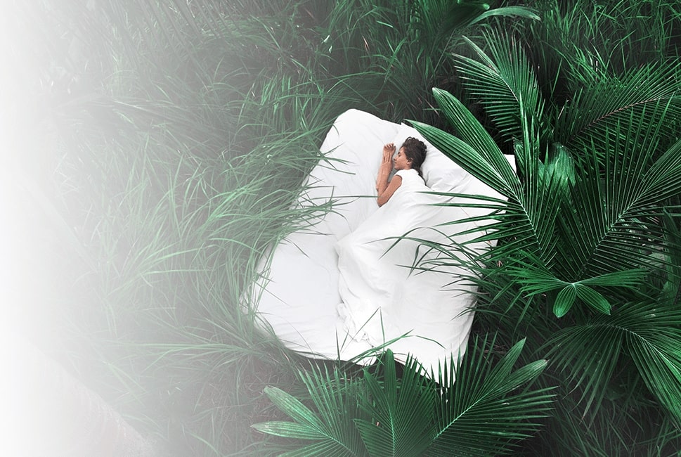 Green Sleep