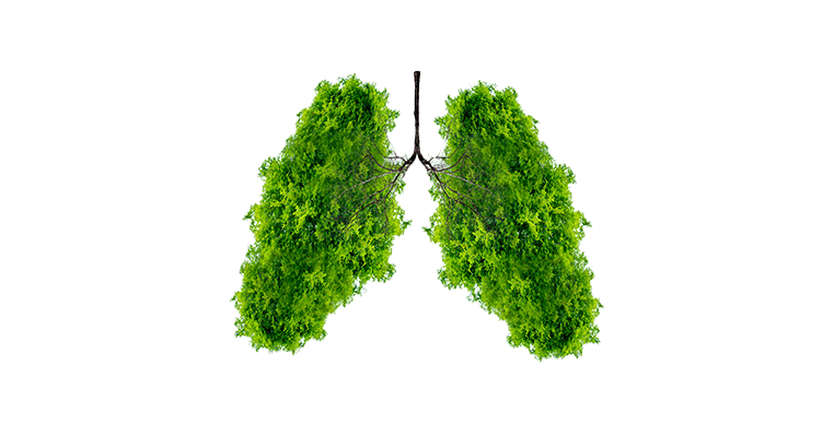 Breathe Easy